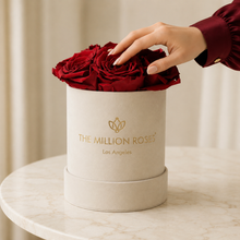 Load image into Gallery viewer, Essence Beige Suede Box | Red Roses