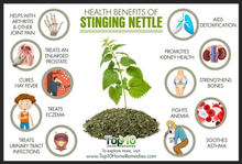 Load image into Gallery viewer, Wild Stinging Nettle Elixir