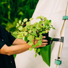 Load image into Gallery viewer, Bijou Bloom Hanging Planters