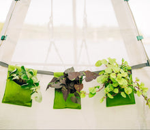 Load image into Gallery viewer, Bijou Bloom Hanging Planters