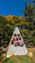 Load image into Gallery viewer, Bijou Bloom Hanging Planters