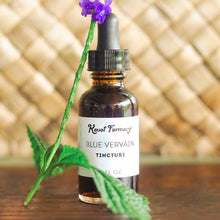 Load image into Gallery viewer, Blue Vervain Tincture