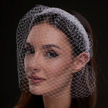 Load image into Gallery viewer, Bridal Birdcage Veil Headband