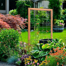 Load image into Gallery viewer, 48-inch Outdoor Pine Wood Frame Garden Trellis with Metal Wire Lattice