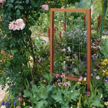 Load image into Gallery viewer, 48-inch Outdoor Pine Wood Frame Garden Trellis with Metal Wire Lattice