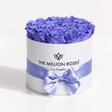 Load image into Gallery viewer, Classic White Box | Violet Roses