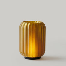 Load image into Gallery viewer, Cordless Mini Allium Lamp