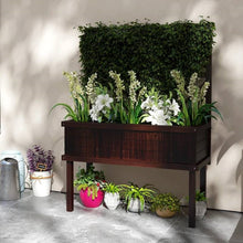Load image into Gallery viewer, Espresso Fir Wood Elevated Raised Garden Bed With Stylish Climbing Trellis
