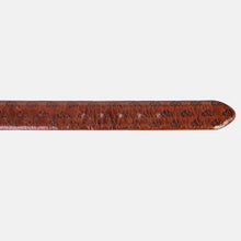 Load image into Gallery viewer, The Caesars Tan &amp; Navy Leather Belt