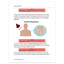 Load image into Gallery viewer, Infrared Light Therapy for Recovery, Fitness, Skin Care, and Total-Body Wellness