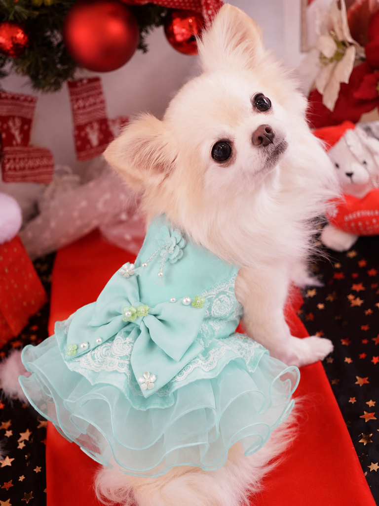Handmade Mint Blue Princess Dog Dress with Lace Bow and Pearl Details