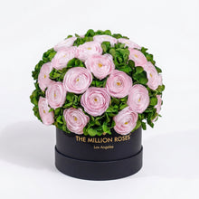 Load image into Gallery viewer, Classic Black Box | Light Pink Persian Buttercups &amp; Green Hydrangeas