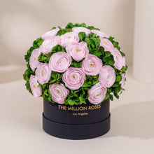 Load image into Gallery viewer, Classic Black Box | Light Pink Persian Buttercups &amp; Green Hydrangeas