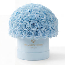 Load image into Gallery viewer, Classic Light Blue Suede Superdome Box | Light Blue Roses