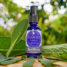 Load image into Gallery viewer, Comfrey Hydrosol
