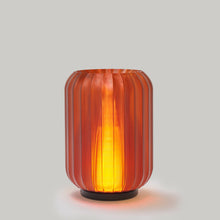 Load image into Gallery viewer, Cordless Mini Allium Lamp