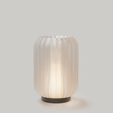 Load image into Gallery viewer, Cordless Mini Allium Lamp