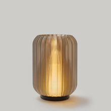 Load image into Gallery viewer, Cordless Mini Allium Lamp