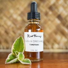 Load image into Gallery viewer, Cuban Oregano Tincture