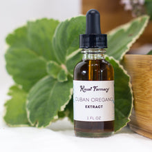 Load image into Gallery viewer, Cuban Oregano Tincture