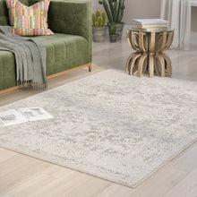 Load image into Gallery viewer, 3' x 5' Distressed Oriental Area Rug in Light Grey / Beige