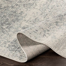 Load image into Gallery viewer, 5' x 7' Distressed Oriental Area Rug in Light Grey / Beige