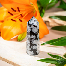 Load image into Gallery viewer, Spiritual Bodyguard - Snowflake Obsidian Point