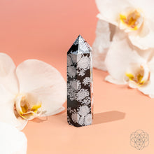 Load image into Gallery viewer, Spiritual Bodyguard - Snowflake Obsidian Point