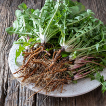 Load image into Gallery viewer, Dandelion Greens &amp; Roots Elixir