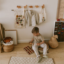 Load image into Gallery viewer, Dinosaurs Wall Hooks