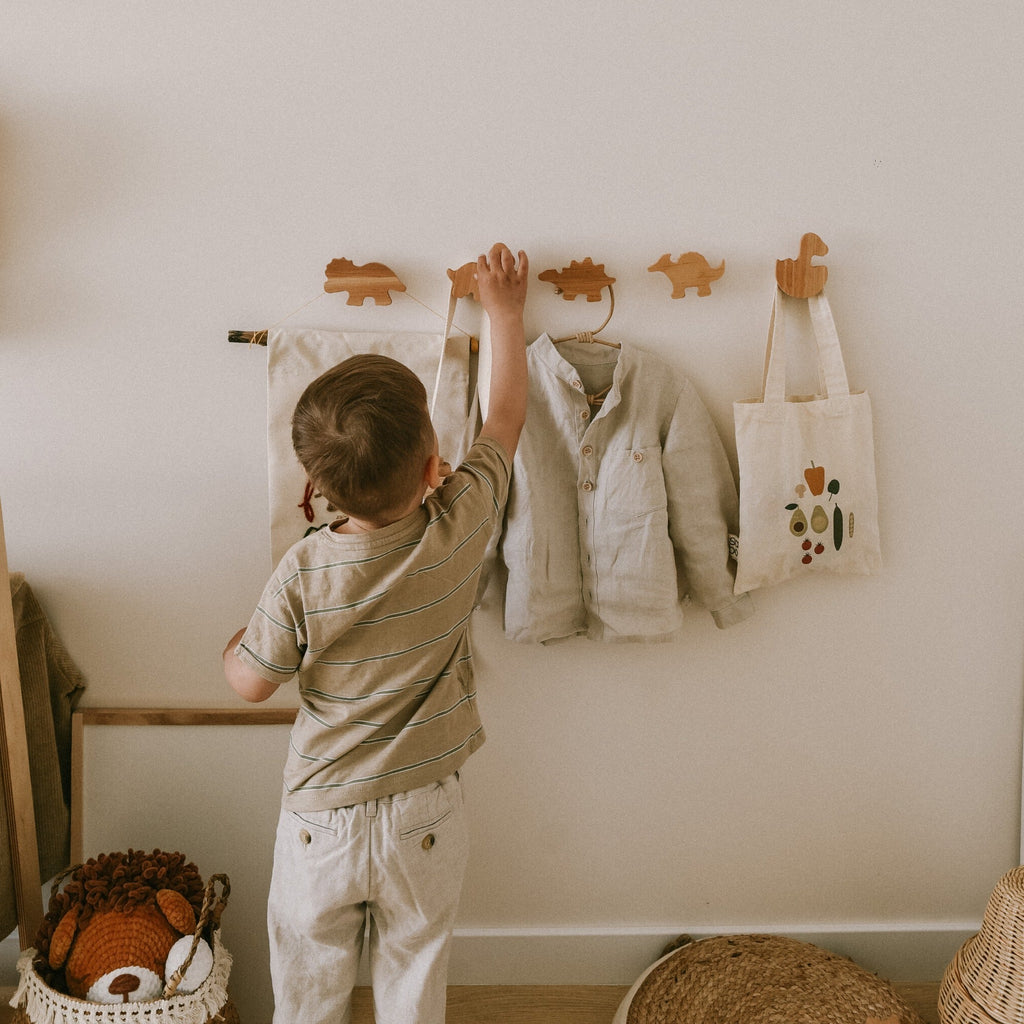 Dinosaurs Wall Hooks