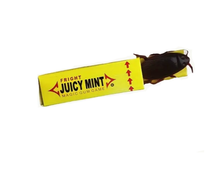 Load image into Gallery viewer, Vintage Gum Gag
