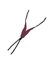 Load image into Gallery viewer, EARTH SEALED Hybrid Stand 14: Vineyard