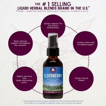 Load image into Gallery viewer, Elderberry