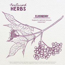Load image into Gallery viewer, Elderberry