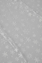 Load image into Gallery viewer, Winter Inspired Cathedral Wedding Veil