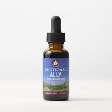 Load image into Gallery viewer, Emotional Ally, A Big Herbal Hug