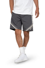 Load image into Gallery viewer, EPTM Ozone Shorts - Grey