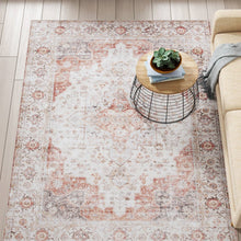 Load image into Gallery viewer, 4 ft. x 6 ft. Traditional Persian Style Washable Boho Light Grey Red Area Rug