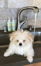 Load image into Gallery viewer, Calming™ Puppy + Dog Wash &amp; Conditioner Set