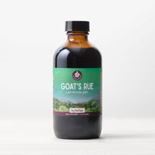 Load image into Gallery viewer, Goat's Rue, Lactation Aid