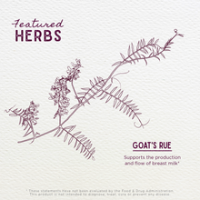 Load image into Gallery viewer, Goat's Rue, Lactation Aid