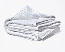 Load image into Gallery viewer, Original Weighted Blanket