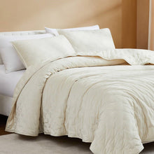Load image into Gallery viewer, Full / Queen 3-Piece Cream Velvet Embroidered Super Soft Quilt Set