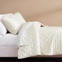 Load image into Gallery viewer, Full / Queen 3-Piece Cream Velvet Embroidered Super Soft Quilt Set