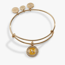Load image into Gallery viewer, Harry Potter™ Hufflepuff House Charm Bangle