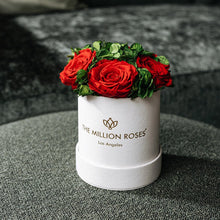 Load image into Gallery viewer, Essence Beige Suede Garden Box | Red Roses