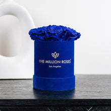 Load image into Gallery viewer, Essence Royal Blue Suede Box | Royal Blue Roses