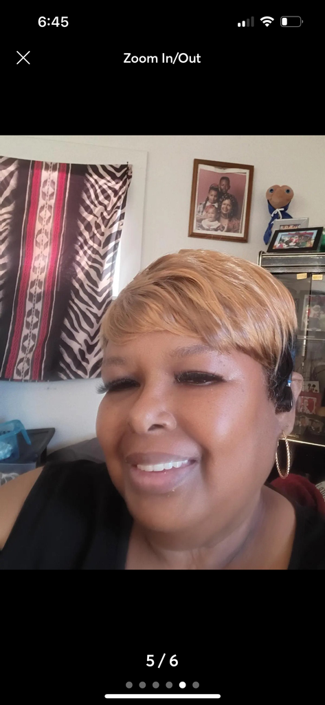 Highlight Pixie Cut Wig