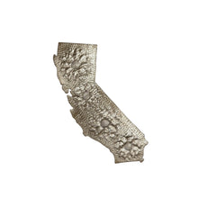 Load image into Gallery viewer, California Floral Metal Art